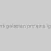 Human Î² Anti galactan proteins IgG ELISA kit